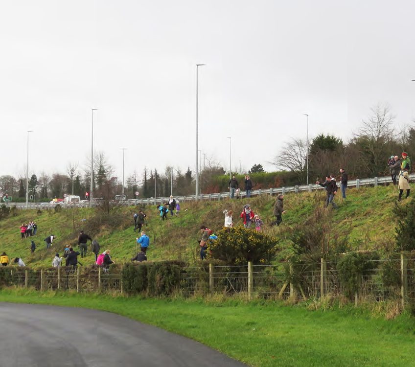 Plantar árboles en Irlanda